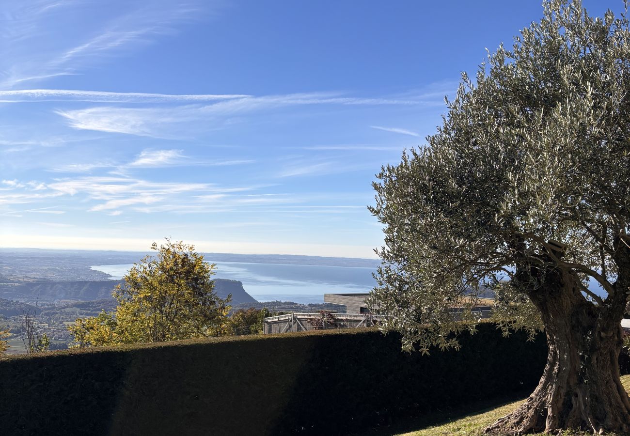 Villa a San Zeno di Montagna - Villa Miravista