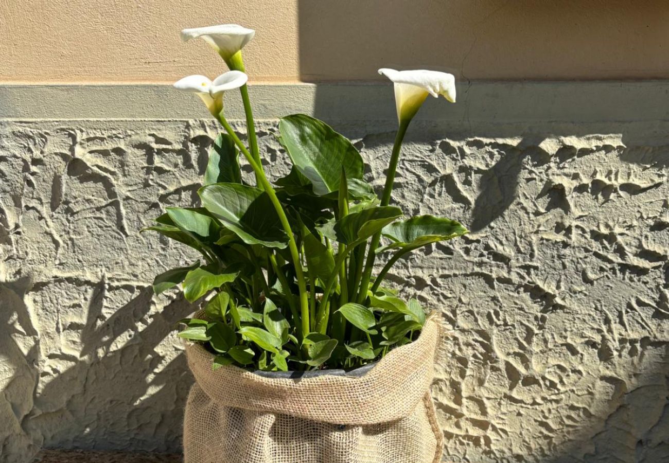 Appartamento a Lazise - Casa Olinda a  Lazise