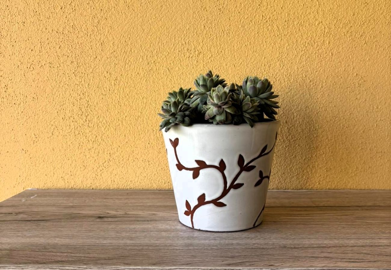 Appartamento a Costermano - La terrazza dei Carpini