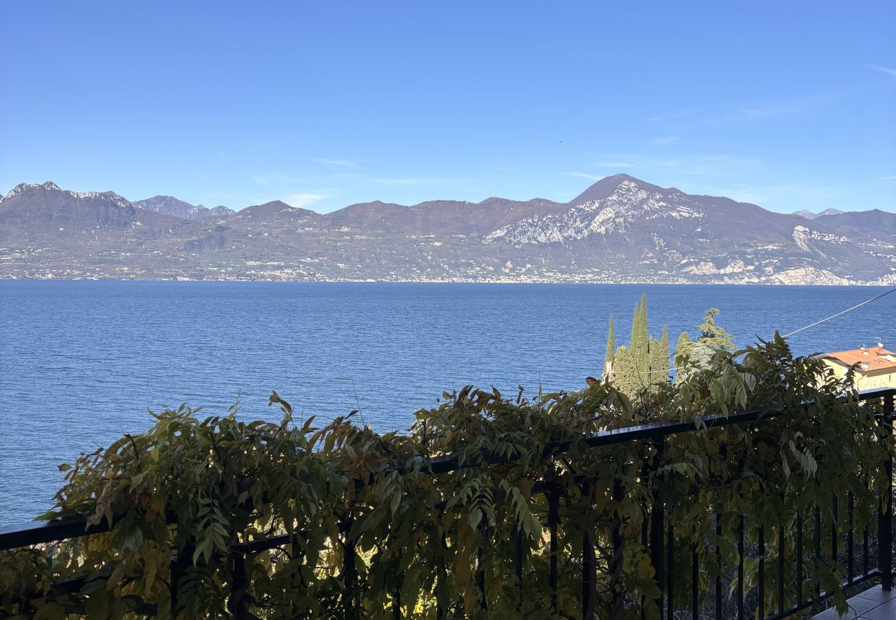 Villa in Torri del Benaco - Villa Patrizia