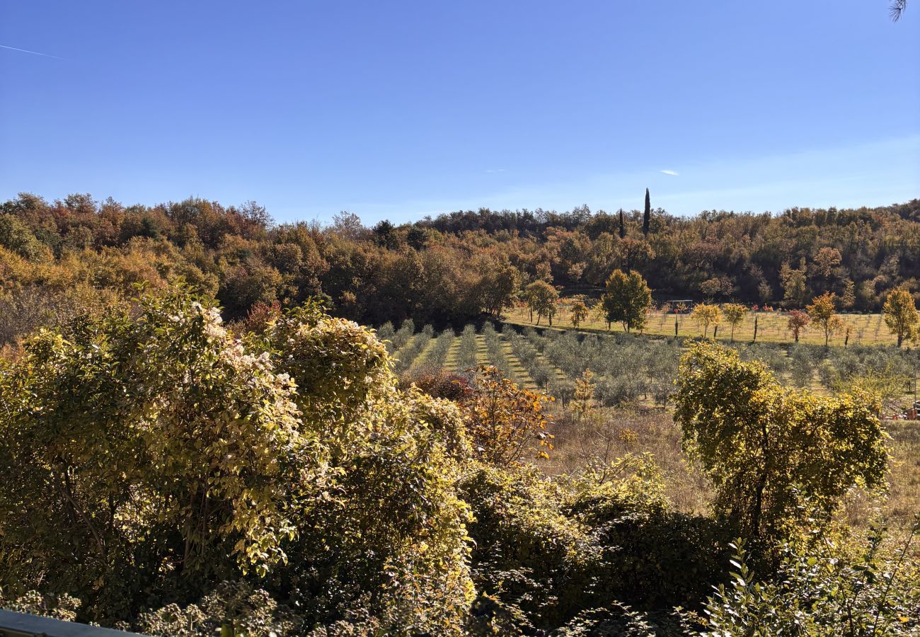 Villa in Torri del Benaco - Villa Bardino