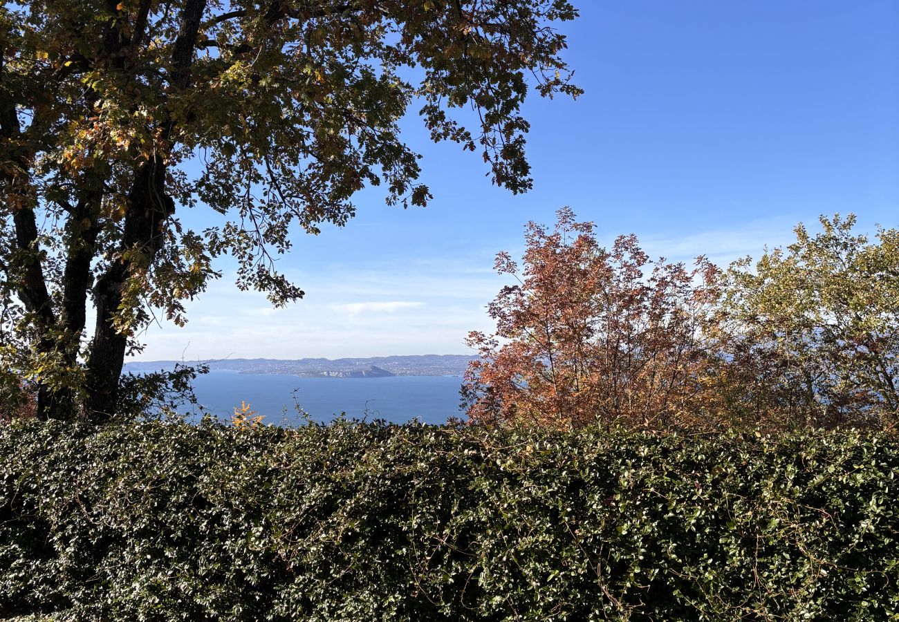 Villa in Torri del Benaco - Villa Bardino