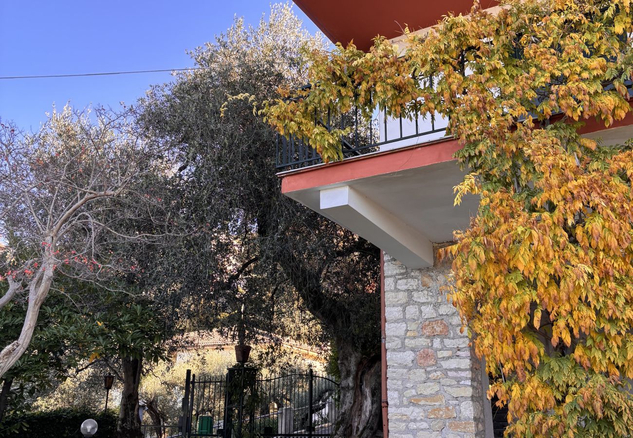 Villa in Torri del Benaco - Villa Patrizia